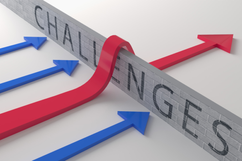 Business Resilience & Prosperity Coaching Program